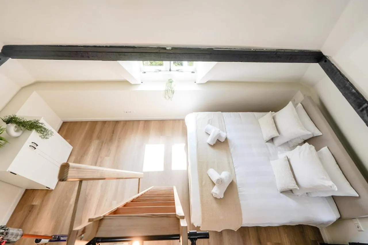 Beautiful Apartment With Loft Delft