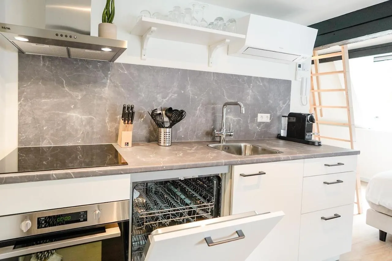Beautiful Apartment With Loft Delft