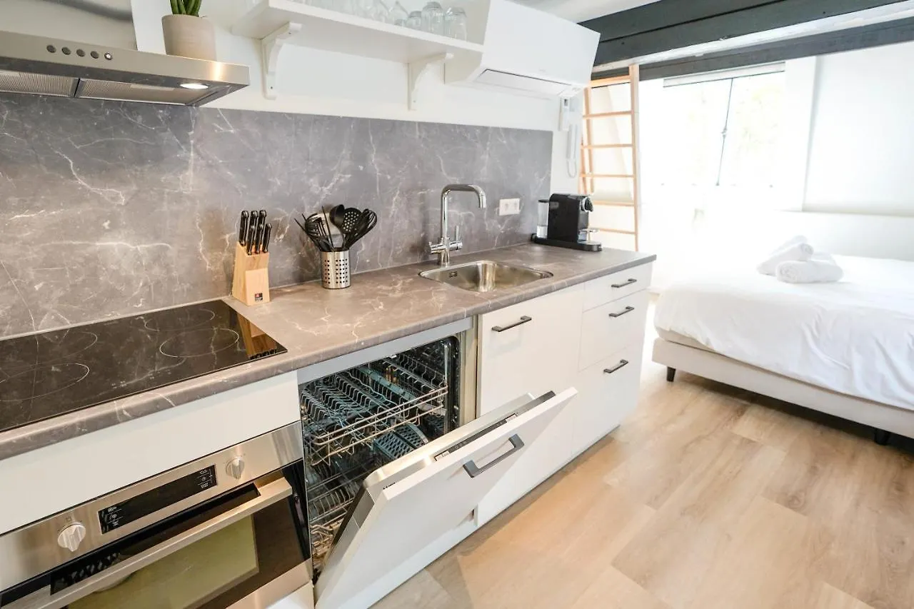 Beautiful Apartment With Loft Delft